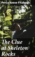Cover: The Clue at Skeleton Rocks - Good Press