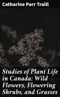 Abbildung von: Studies of Plant Life in Canada: Wild Flowers, Flowering Shrubs, and Grasses - Good Press