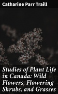 Cover: Studies of Plant Life in Canada: Wild Flowers, Flowering Shrubs, and Grasses - Good Press