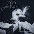 Cover: Alphabet - Fall Line Press
