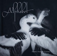 Enlarge image Cover: Alphabet - Fall Line Press