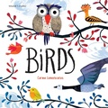 Cover: Birds - Walker Studio