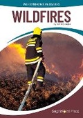 Cover: Wildfires - Brightpoint Press