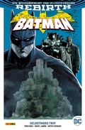 Cover: Batman, Band 2 (2. Serie) - Selbstmord-Trip - DC COMICS bei Panini Comics