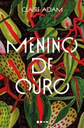 Cover: Menino de ouro - Todavia