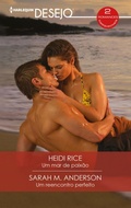 Cover: Um mar de paix&atilde;o - Um reencontro perfeito - Harlequin, uma divis&atilde;o de HarperCollins Ib&eacute;rica, S.A.