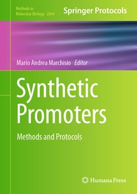 Abbildung von: Synthetic Promoters - Humana
