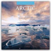 Abbildung von: Arctic - Arktis 2025 - 16-Monatskalender - Red Robin Publishing Ltd.