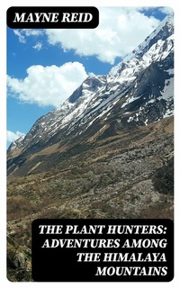 Abbildung von: The Plant Hunters: Adventures Among the Himalaya Mountains - DigiCat