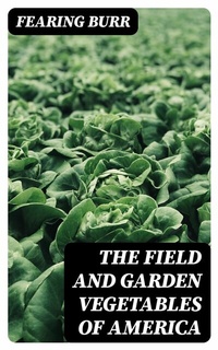 Abbildung von: The Field and Garden Vegetables of America - DigiCat