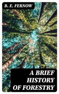 Abbildung von: A Brief History of Forestry - DigiCat