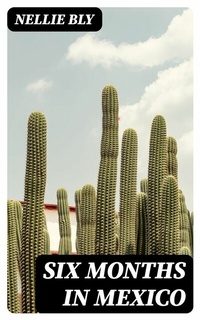 Abbildung von: Six Months in Mexico - DigiCat