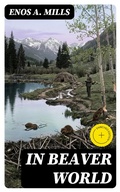 Cover: In Beaver World - DigiCat