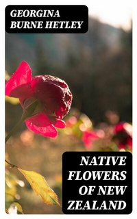 Abbildung von: Native Flowers of New Zealand - DigiCat