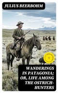 Cover: Wanderings in Patagonia; Or, Life Among the Ostrich-Hunters - DigiCat