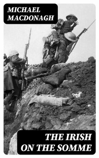 Abbildung von: The Irish on the Somme - DigiCat