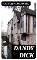 Cover: Dandy Dick - DigiCat