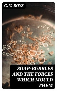 Abbildung von: Soap-Bubbles and the Forces Which Mould Them - DigiCat