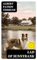 Cover: Lad of Sunnybank - DigiCat