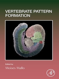 Abbildung von: Vertebrate Pattern Formation - Academic Press