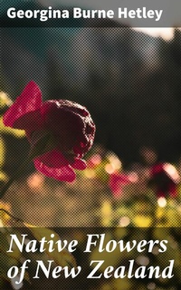 Abbildung von: Native Flowers of New Zealand - Good Press
