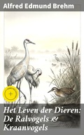 Cover: Het Leven der Dieren: De Ralvogels & Kraanvogels - Good Press