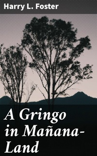 Abbildung von: A Gringo in Mañana-Land - Good Press