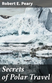 Abbildung von: Secrets of Polar Travel - Good Press