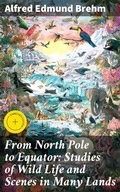 Cover: From North Pole to Equator: Studies of Wild Life and Scenes in Many Lands - Good Press