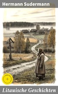 Cover: Litauische Geschichten - Good Press