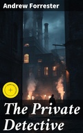 Cover: The Private Detective - Good Press