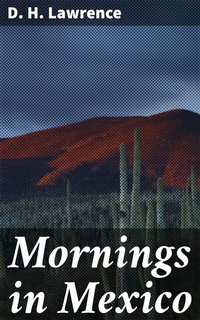 Abbildung von: Mornings in Mexico - Good Press