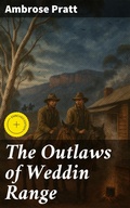 Cover: The Outlaws of Weddin Range - Good Press