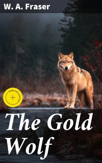 Enlarge image Cover: The Gold Wolf - Good Press