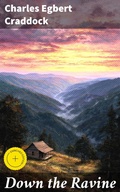 Cover: Down the Ravine - Good Press