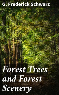 Abbildung von: Forest Trees and Forest Scenery - Good Press