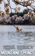 Cover: Moonshine Springs - Strelbytskyy Multimedia Publishing
