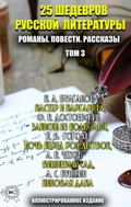 Cover: 25 shedevrov russkoy literatury. Romany. Povesti. Rasskazy. Tom 3 - Strelbytskyy Multimedia Publishing