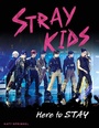 Bild: Stray Kids - Triumph Books