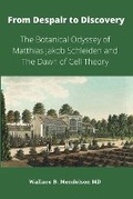 Cover: From Despair to Discovery - Pythagoras Press