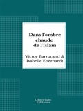 Cover: Dans l'ombre chaude de l'Islam - Librorium Editions