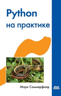 Enlarge image Cover: Python na praktike. Sozdanie kachestvennyh programm s ispolzovaniem parallelizma, bibliotek i patternov - DMK Press