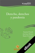 Cover: Derecho, derechos y pandemia - Palestra Editores