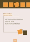 Cover: Derecho constitucional II - Publicacions de la Universitat de Val&egrave;ncia