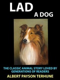 Cover: Lad A Dog - Diamond Book Publishing