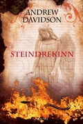 Cover: Steindrekinn - Skinnbok