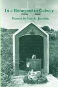 Cover: In a Boneyard in Galway - Hammonasset House Books