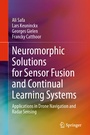 Cover: Neuromorphic Solutions for Sensor Fusion and Continual Learning Systems - Springer