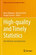 Cover: High-quality and Timely Statistics - Springer