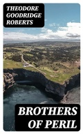 Cover: Brothers of Peril - DigiCat